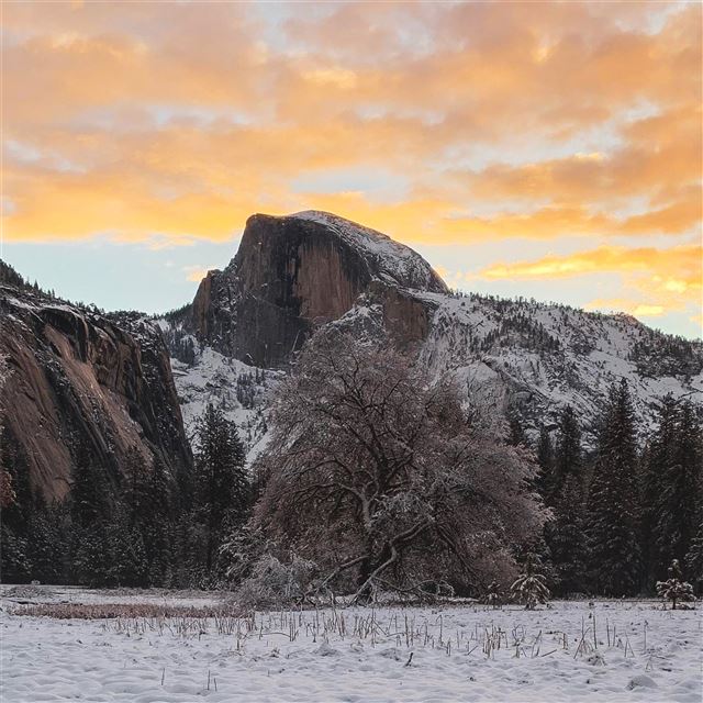 2732x2732 yosemite sunrise - sunrise iPad Pro Wallpaper