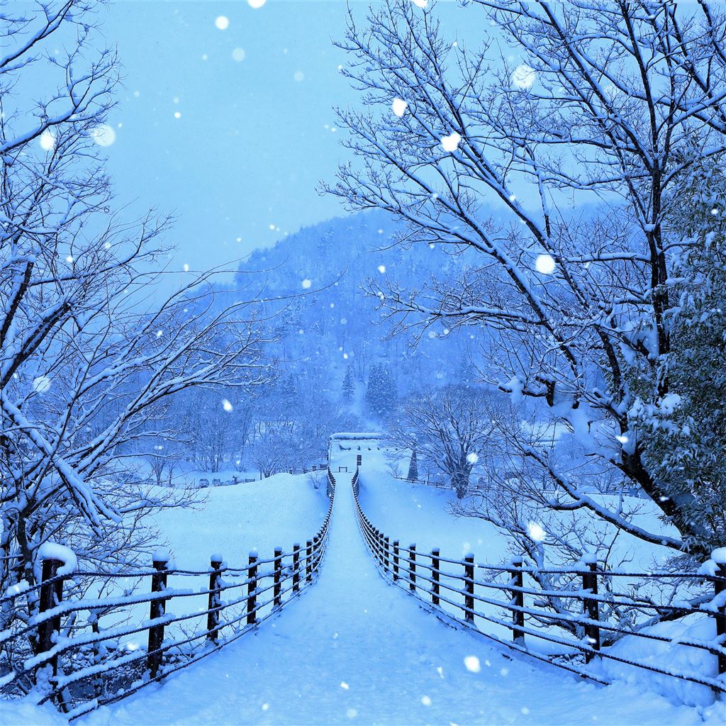 winter roads of japan 4k iPad Pro Wallpapers Free Download