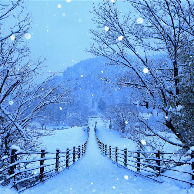 2732x2732 winter roads of japan 4k -  iPad Pro Wallpaper