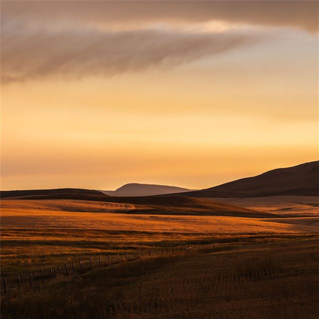 1024x1024 montana prairie montana plain evening light fuji c... - evening iPad Wallpaper