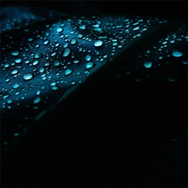 1024x1024 leaf dew drops droplet 4k - drops iPad Wallpaper