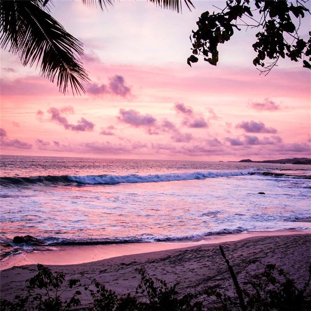 1024x1024 palm tree sea ocean clouds 5k - 5k iPad Wallpaper