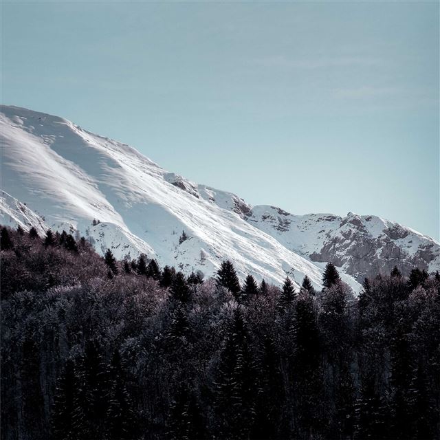 1024x1024 snow covered mountains landscape 5k - landscape iPad Wallpaper