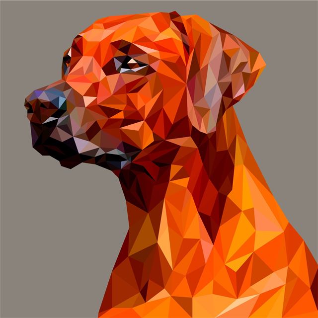 1024x1024 dog polygon facets - artist iPad Wallpaper