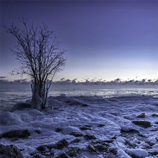 1024x1024 frozen winter snow landscape - winter iPad Wallpaper
