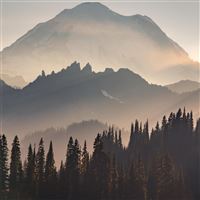 mount rainier sun beams 5k wallpaper
