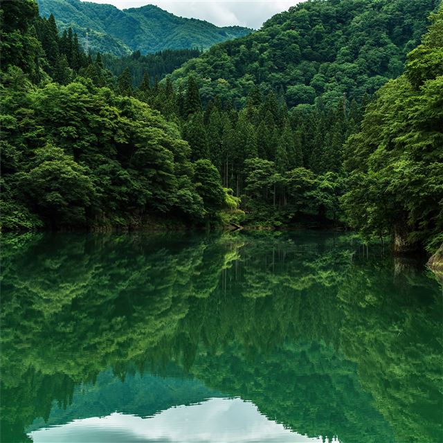 1024x1024 beautiful greenery 8k - 5k iPad Wallpaper