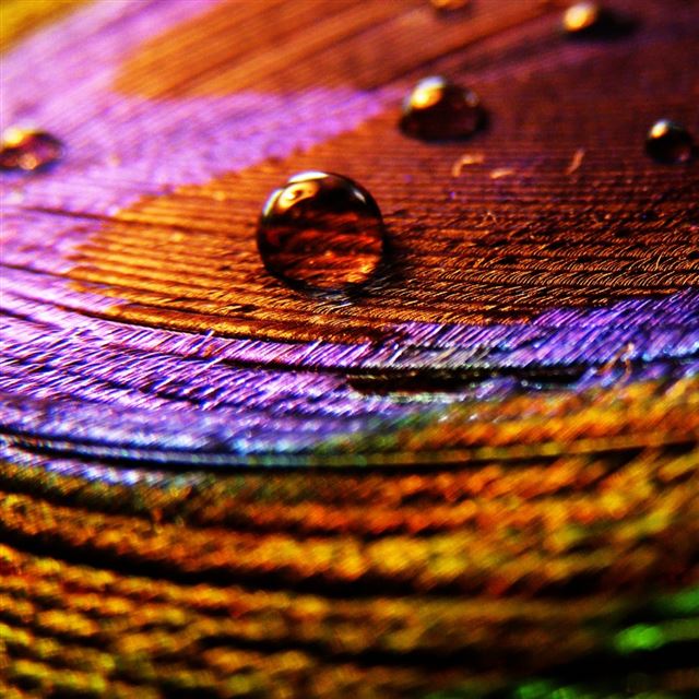 3 Wallpapers In cloth Wallpapers For iPad