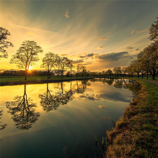 2732x2732 evening by the canal 5k - trees iPad Wallpaper