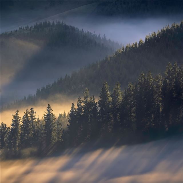 2732x2732 early morning sun rays over trees mountains 4k - nature iPad Wallpaper