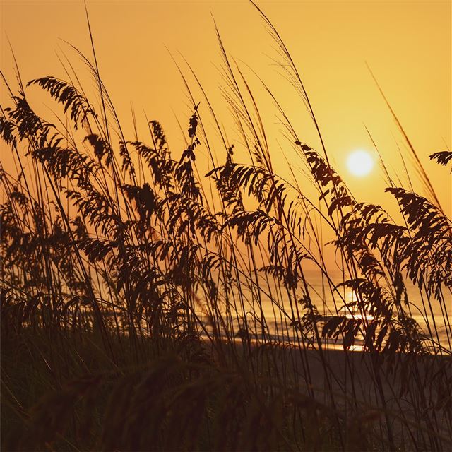2732x2732 sunrisehuntington beach state park 8k - nature iPad Wallpaper