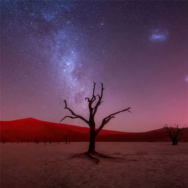 2732x2732 evening glory at deadvlei -  iPad Wallpaper
