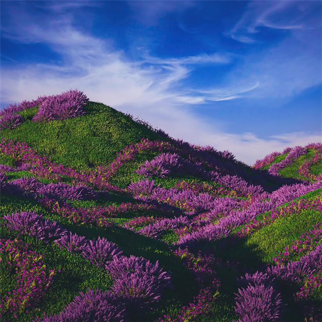 1024x1024 the hills -  iPad Wallpaper