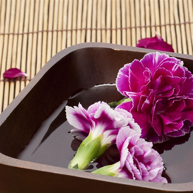 3 Wallpapers In Carnation Wallpapers For iPad