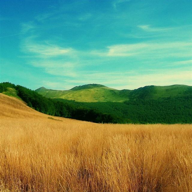 5 Wallpapers In harvest Wallpapers For iPad