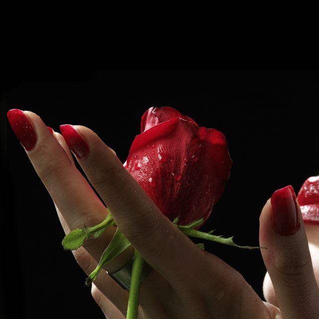 1 Wallpapers In lip Wallpapers For iPad