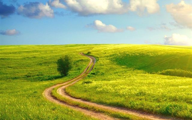 14 Wallpapers In path Wallpapers For iPad