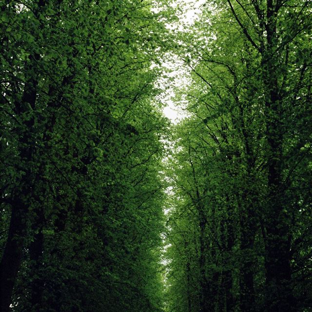 1 Wallpapers In trinity Wallpapers For iPad