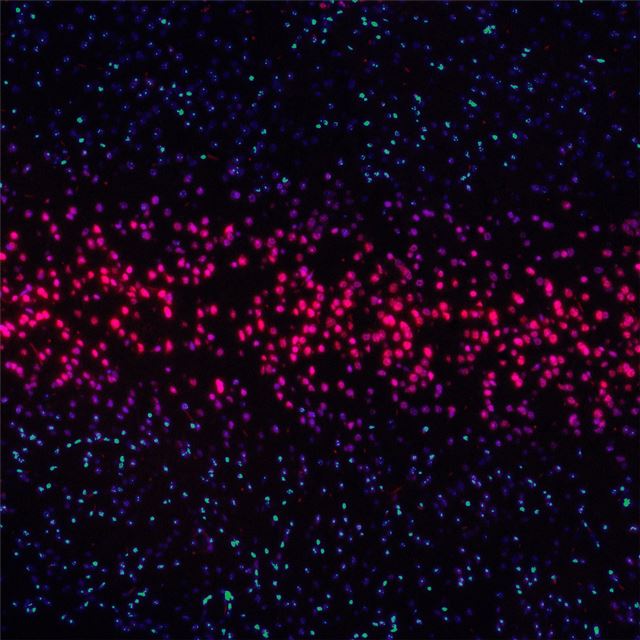 1 Wallpapers In 12k Wallpapers For iPad