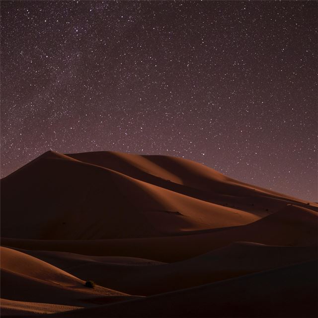 1024x1024 desert during night time 5k - desert iPad Wallpaper