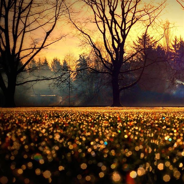 1024x1024 Bokeh Flowers - yellow iPad Wallpaper