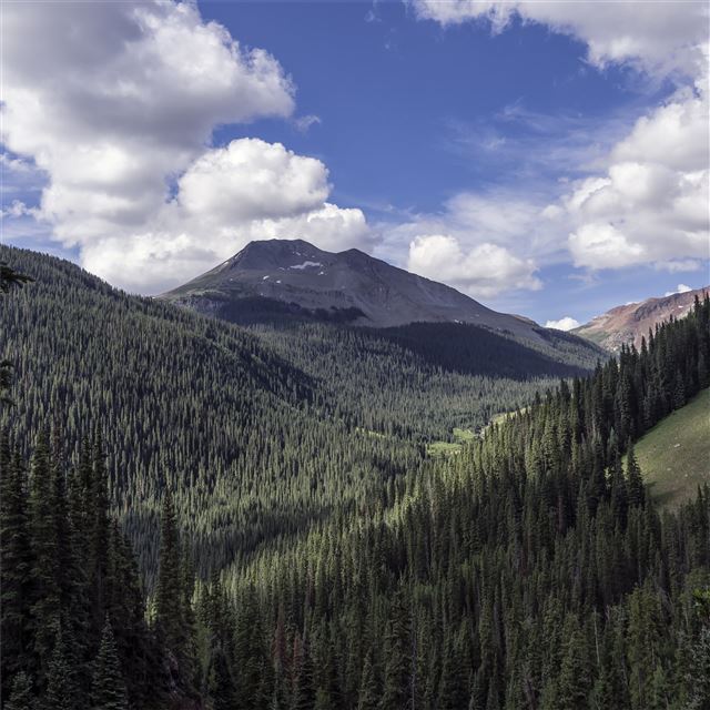 1024x1024 landscape valley forest 4k - valley iPad Wallpaper