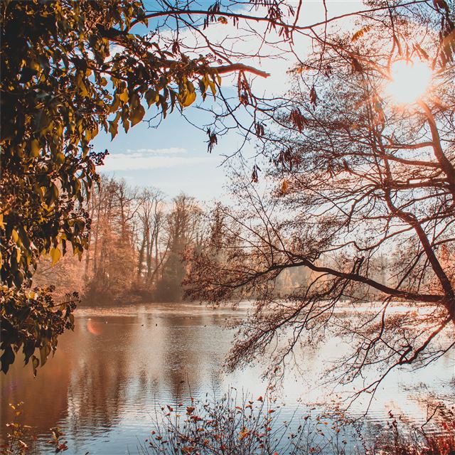 1024x1024 pond cold starting of day - pond iPad Wallpaper