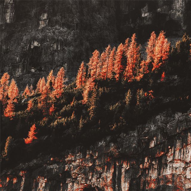 1024x1024 rocks mountains surrounded by trees 4k - trees iPad Wallpaper