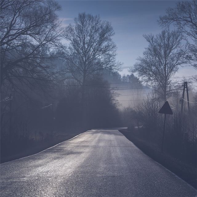 1024x1024 road tree mist 5k - road iPad Wallpaper