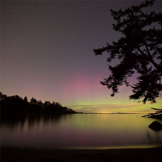 1024x1024 northern lights lake night sky 5k - 4k iPad Wallpaper