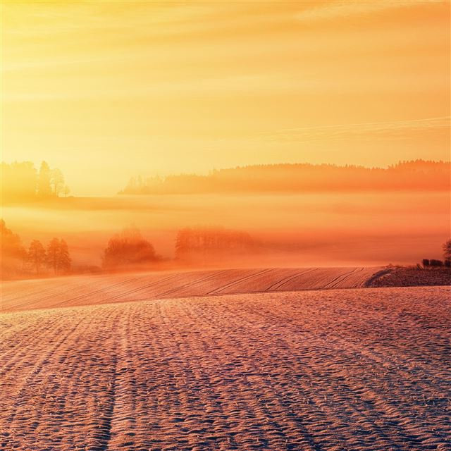 1024x1024 dusk dawn evening 5k - evening iPad Wallpaper