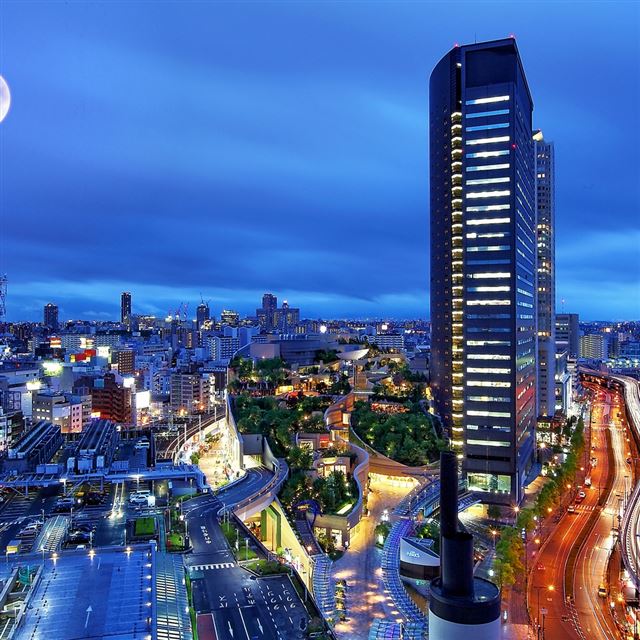 1024x1024 China Towers - tree iPad Wallpaper