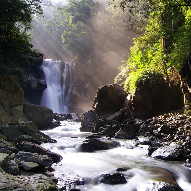 1024x1024 Nei Dong Waterfall - tree iPad Wallpaper