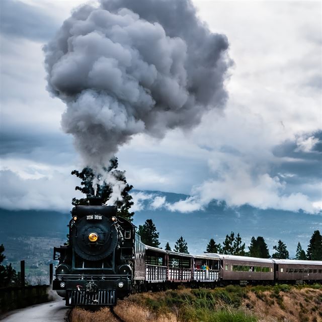 1024x1024 Old Train 2 - tree iPad Wallpaper