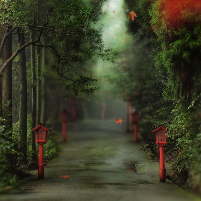 1024x1024 Alley In The Forest - road iPad Wallpaper