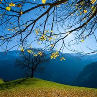 Autumn Schachental Switzerland wallpaper