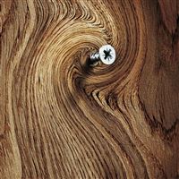 Tree ring Spiraling wallpaper