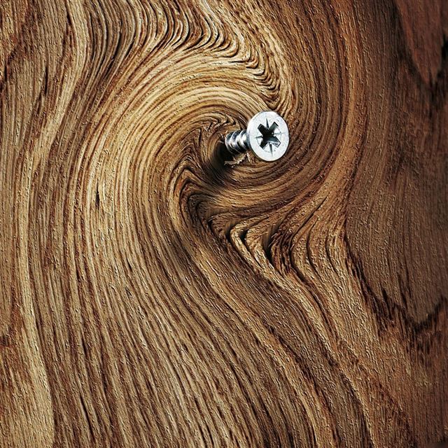 1024x1024 Tree ring Spiraling - veins iPad Wallpaper