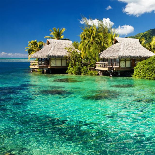 1024x1024 Tropical Resort - green iPad Wallpaper