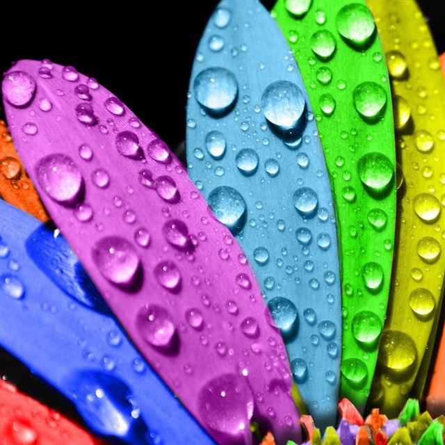 1024x1024 Colorful Flower - leafs iPad Wallpaper