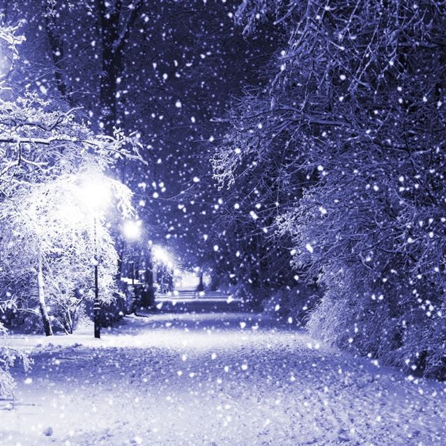1024x1024 Winter Night - tree iPad Wallpaper