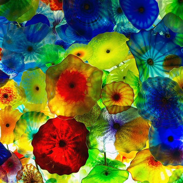 1024x1024 Colorful Jellyfish - cyan iPad Wallpaper