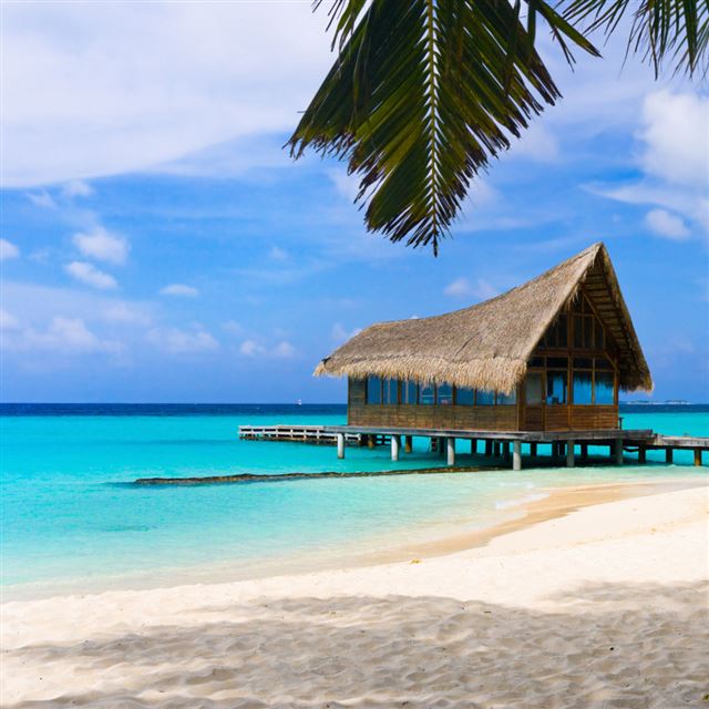1024x1024 Bahamas beach vacation - beach iPad Wallpaper