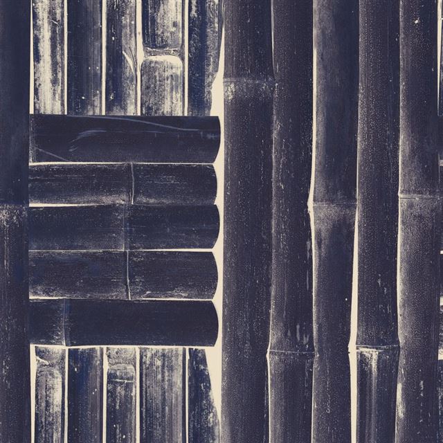1024x1024 Black bamboo products - bamboo iPad Wallpaper