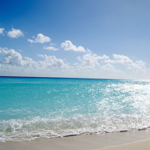 1024x1024 Tropical beach - cyan iPad Wallpaper