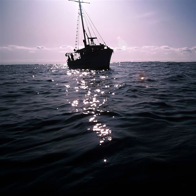 1024x1024 Sea - purple iPad Wallpaper