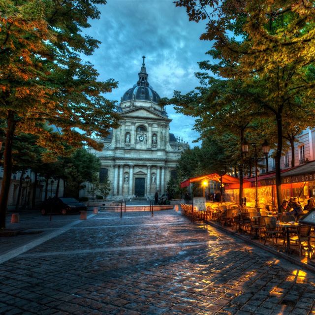 1024x1024 France Palace - tree iPad Wallpaper