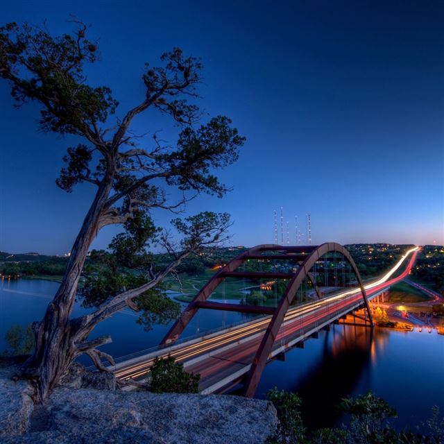 1024x1024 Trees and bridge - tree iPad Wallpaper