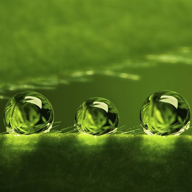 1024x1024 Water drops macro - bokeh iPad Wallpaper