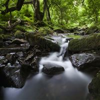 Silky Waterfall wallpaper